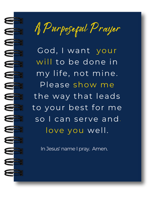 Be Still & Know: The Stillness & Surrender Journal