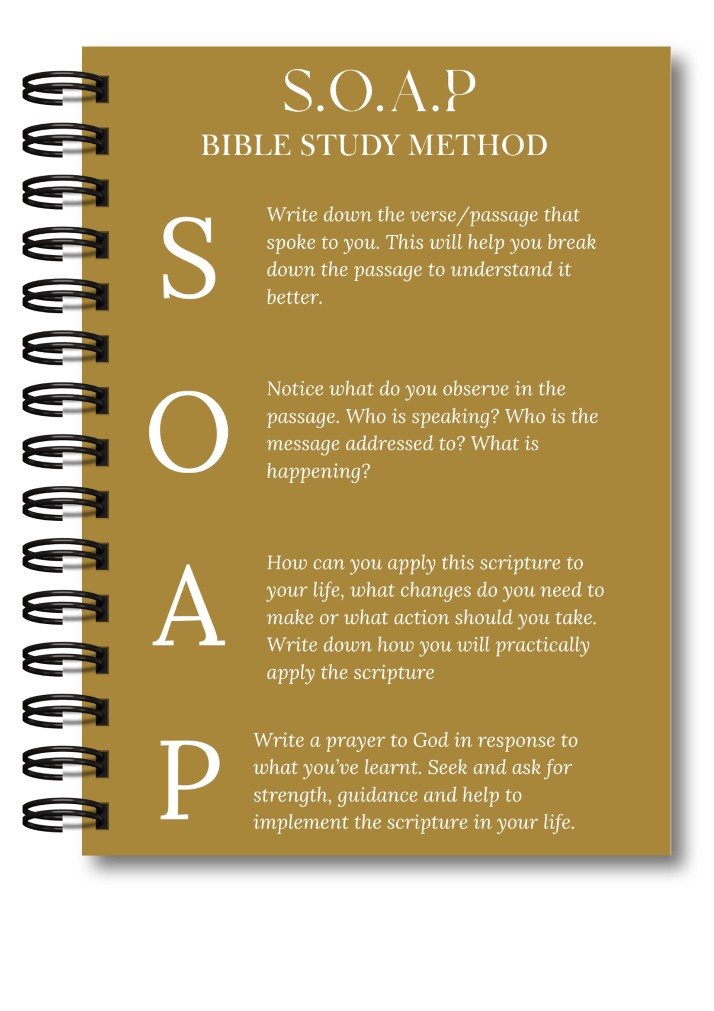 Bible Study Journal