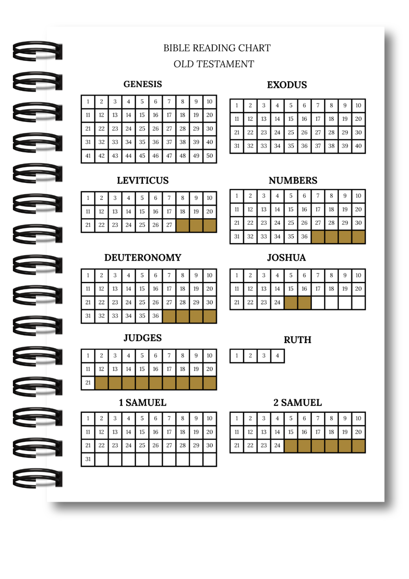 Bible Study Journal